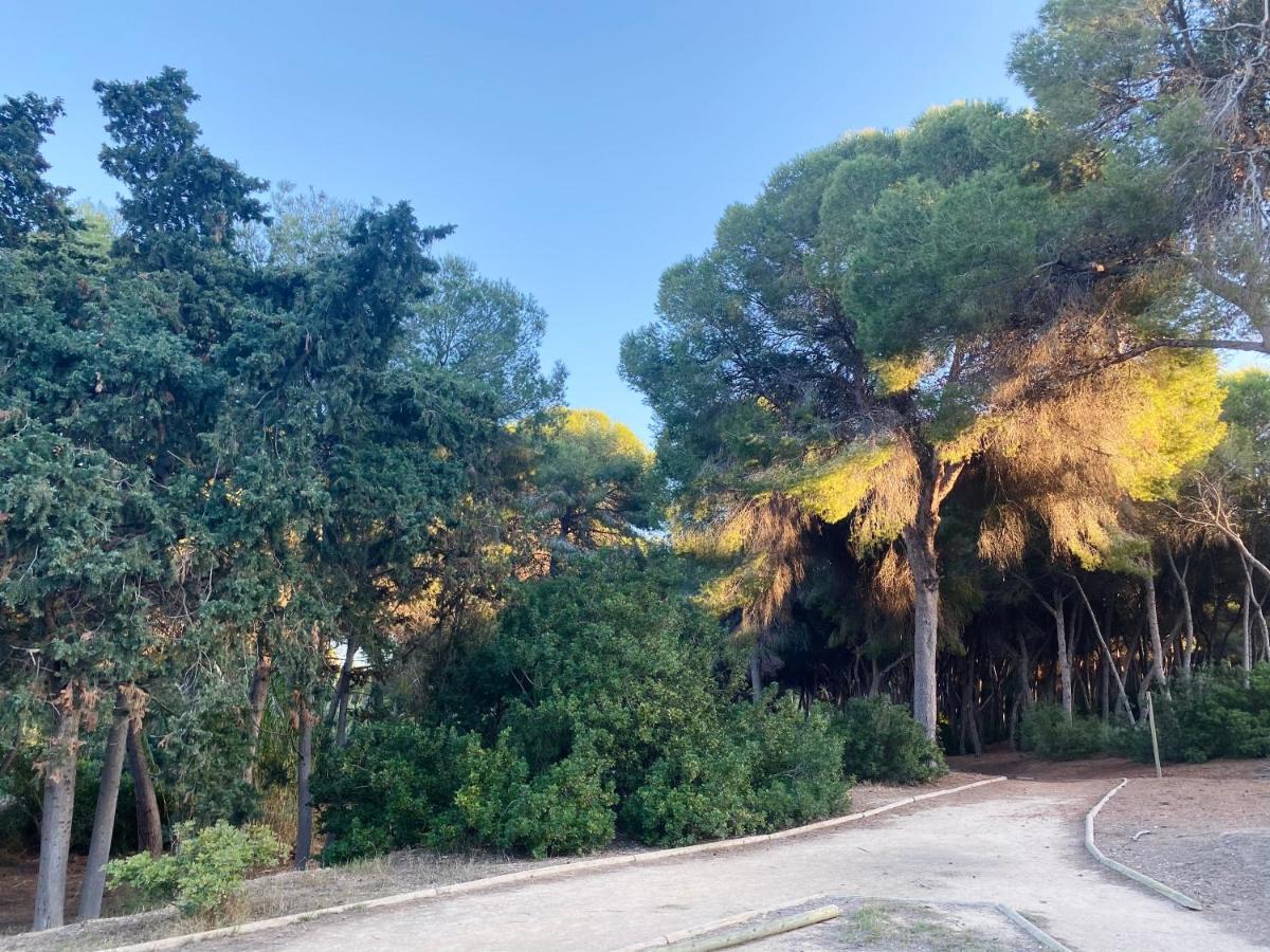Apartamento Hermosa Glea Dehesa de Dehesa de Campoamor Exterior foto