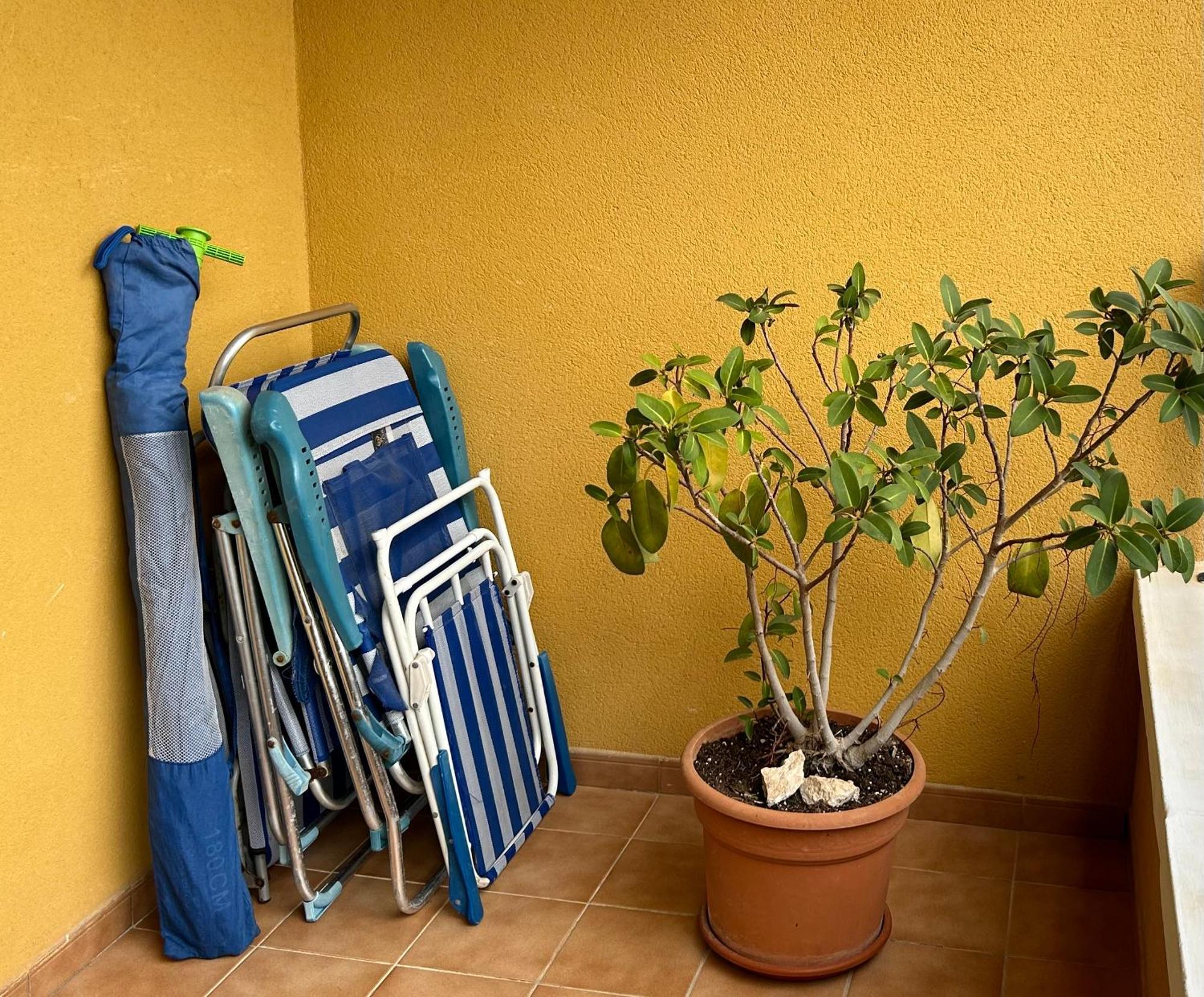 Apartamento Hermosa Glea Dehesa de Dehesa de Campoamor Exterior foto