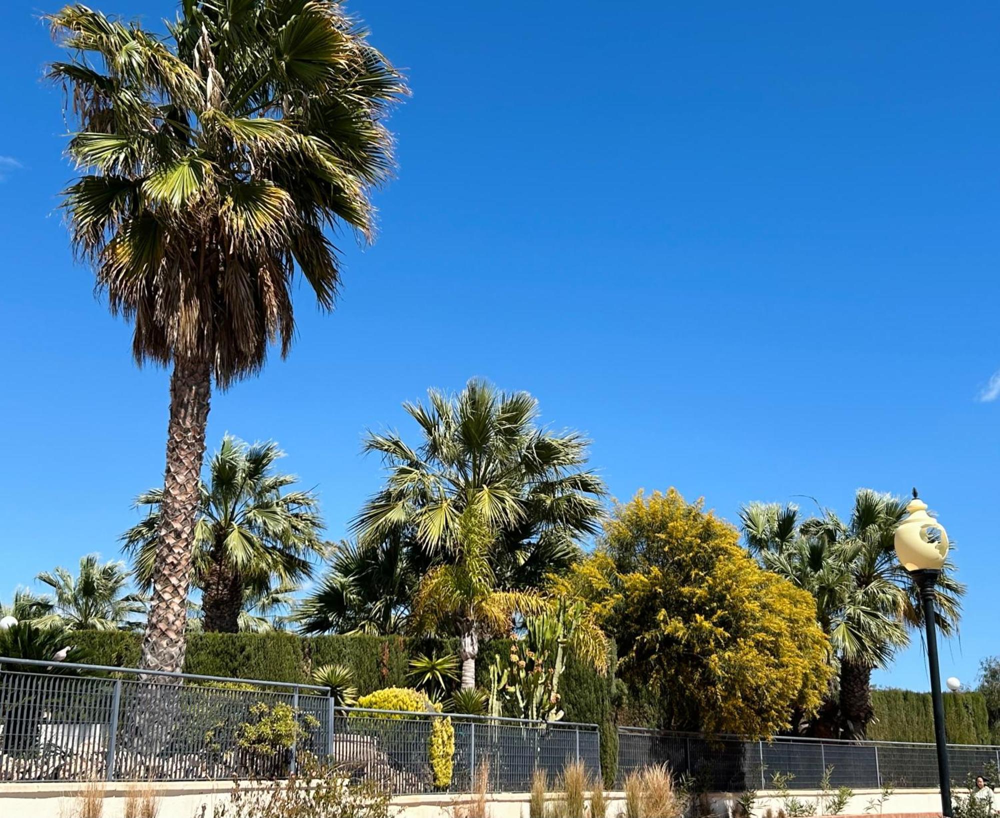 Apartamento Hermosa Glea Dehesa de Dehesa de Campoamor Exterior foto